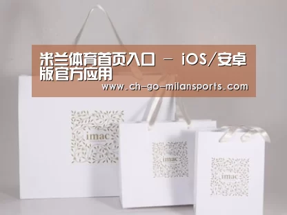 项目名称十一