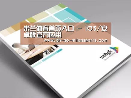 项目名称九