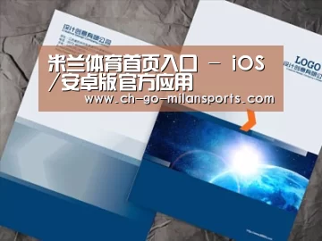 项目名称十