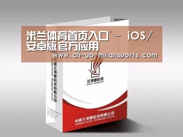 项目名称十三