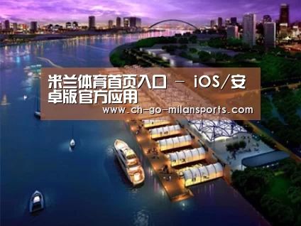 案例展示八
