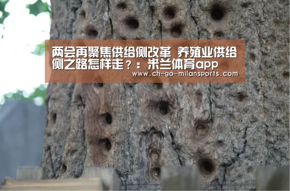两会再聚焦供给侧改革 养殖业供给侧之路怎样走?:米兰体育app(图1) 米兰电竞平台