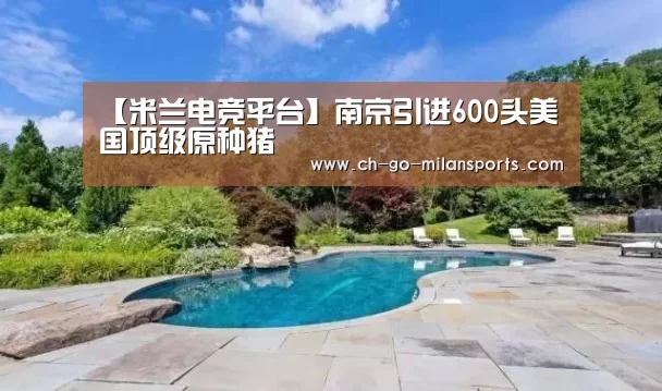【米兰电竞平台】南京引进600头美国顶级原种猪(图3) 米兰体育app