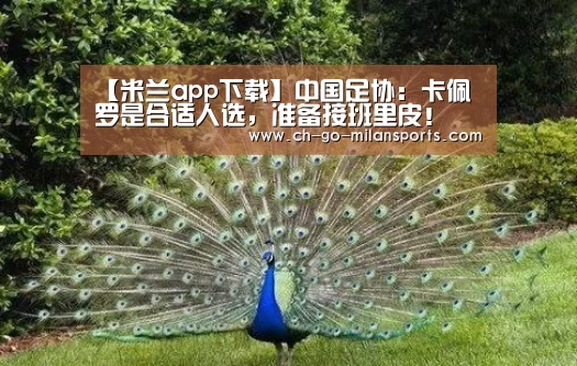 【米兰app下载】中国足协:卡佩罗是合适人选,准备接班里皮!(图2) 米兰电竞平台
