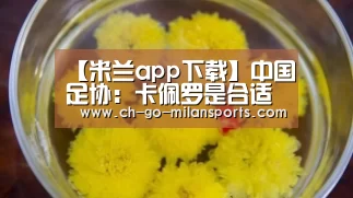 【米兰app下载】中国足协:卡佩罗是合适人选,准备接班里皮!(图4) 米兰app下载