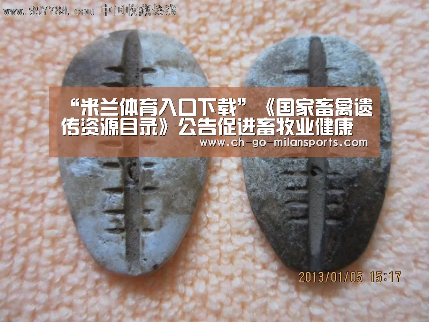 “米兰体育入口下载”《国家畜禽遗传资源目录》公告促进畜牧业健康持续发展(图1) 米兰app下载