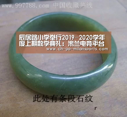 辰居路小学举行2019-2020学年度上期散学典礼:米兰电竞平台(图1) 米兰电竞平台