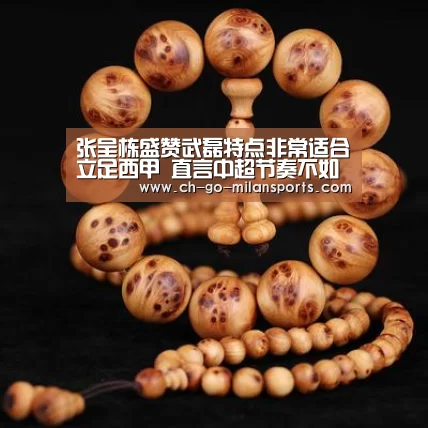 米兰体育app
